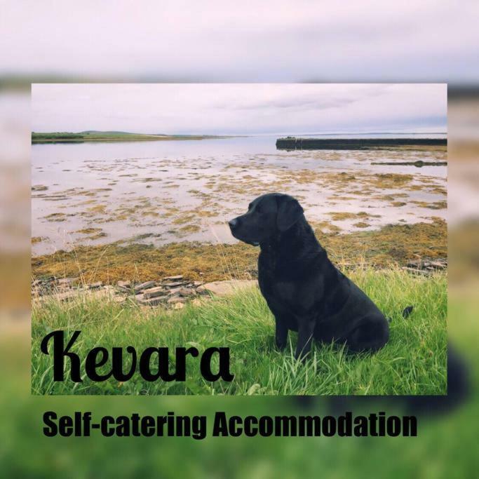 Kevara Self-Catering Finstown Dış mekan fotoğraf